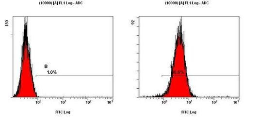 Cripto Antibody in Flow Cytometry (Flow)