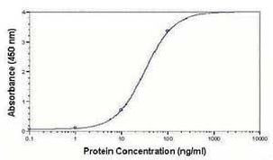 LDLR Antibody in ELISA (ELISA)