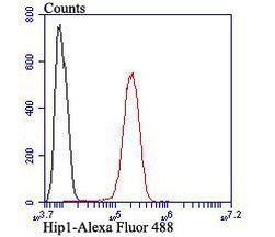 HIP1 Antibody in Flow Cytometry (Flow)