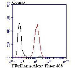 Fibrillarin Antibody in Flow Cytometry (Flow)