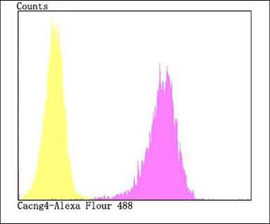 CACNG4 Antibody in Flow Cytometry (Flow)