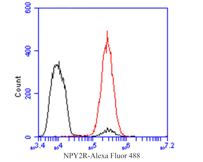 NPY2R Antibody in Flow Cytometry (Flow)