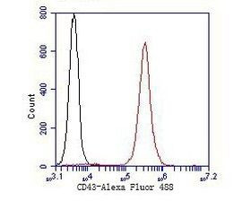 CD43 Antibody in Flow Cytometry (Flow)