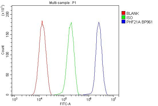 PHF21A Antibody in Flow Cytometry (Flow)