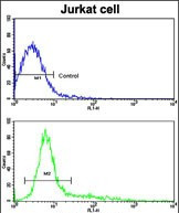 CD9 Antibody in Flow Cytometry (Flow)