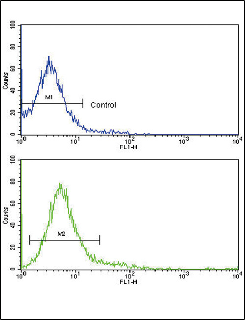 CD45 Antibody in Flow Cytometry (Flow)