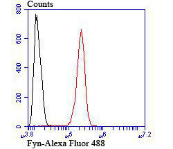 Fyn Antibody in Flow Cytometry (Flow)