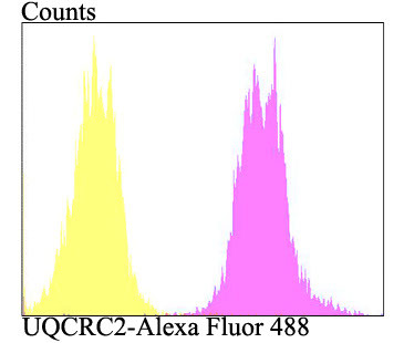 UQCRC2 Antibody in Flow Cytometry (Flow)