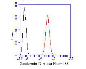 GSDMD Antibody in Flow Cytometry (Flow)