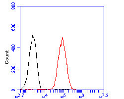 SYNDIG1 Antibody in Flow Cytometry (Flow)