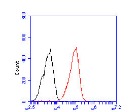 Importin 9 Antibody in Flow Cytometry (Flow)