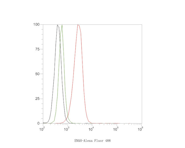 ENAH Antibody in Flow Cytometry (Flow)