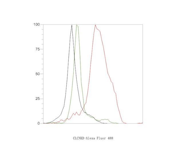 CLCNKB Antibody in Flow Cytometry (Flow)