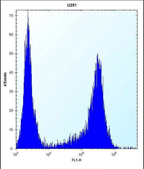 HES1 Antibody in Flow Cytometry (Flow)