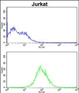 CDCA3 Antibody in Flow Cytometry (Flow)