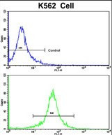 TALDO1 Antibody in Flow Cytometry (Flow)