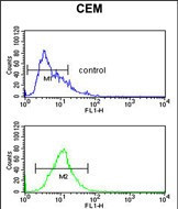 Cytokeratin 10 Antibody in Flow Cytometry (Flow)