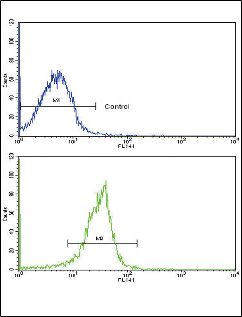 SPARC Antibody in Flow Cytometry (Flow)