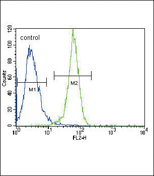 PGK1 Antibody in Flow Cytometry (Flow)