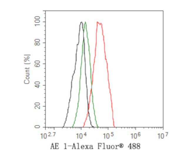 Band 3 Antibody in Flow Cytometry (Flow)