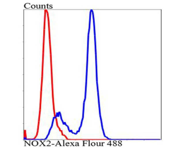 NOX2 Antibody in Flow Cytometry (Flow)