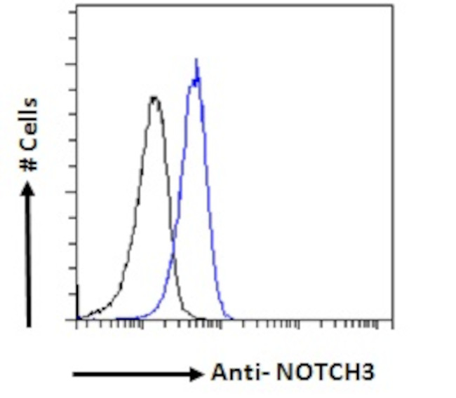 NOTCH3 Antibody in Flow Cytometry (Flow)