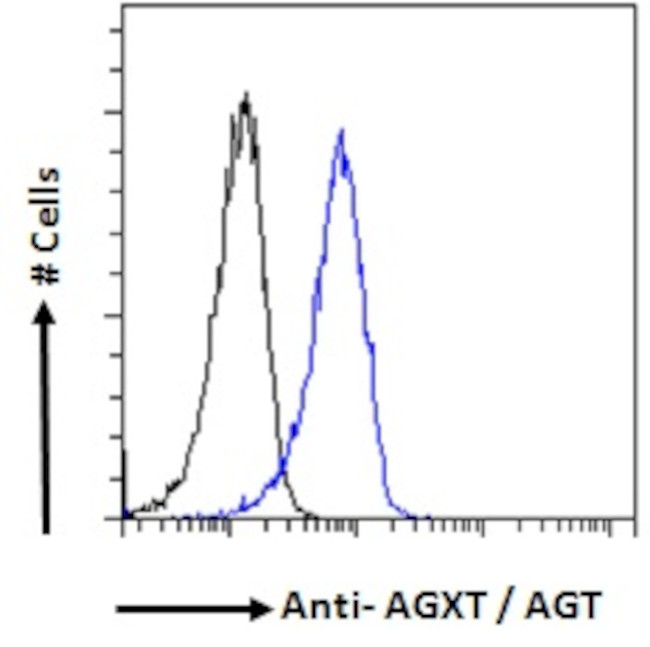 AGXT Antibody in Flow Cytometry (Flow)
