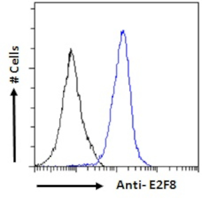 E2F8 Antibody in Flow Cytometry (Flow)
