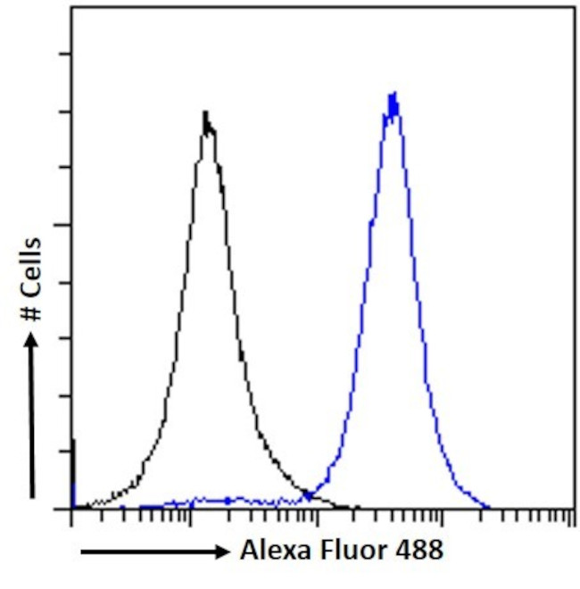 IRF4 Antibody in Flow Cytometry (Flow)