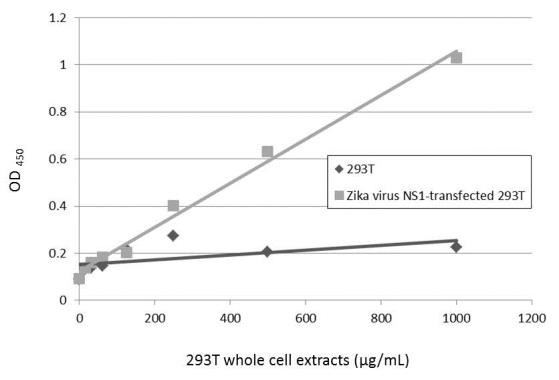 Zika Virus NS1 (strain H/PF/2013) Antibody in ELISA (ELISA)