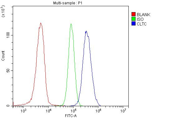 Clathrin Heavy Chain Antibody in Flow Cytometry (Flow)