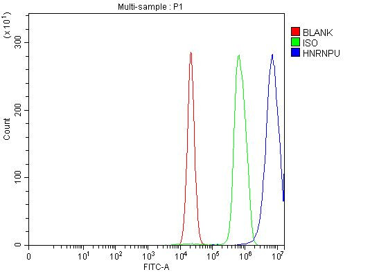 hnRNP U Antibody in Flow Cytometry (Flow)