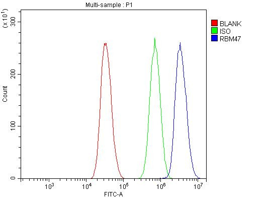 RBM47 Antibody in Flow Cytometry (Flow)