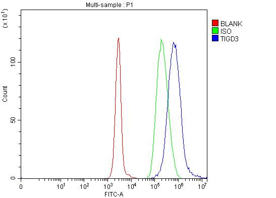 TIGD3 Antibody in Flow Cytometry (Flow)