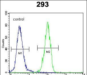 p21 Antibody in Flow Cytometry (Flow)