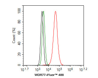WDR77 Antibody in Flow Cytometry (Flow)