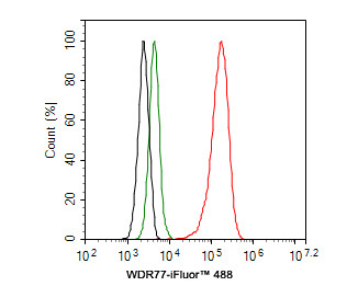 WDR77 Antibody in Flow Cytometry (Flow)