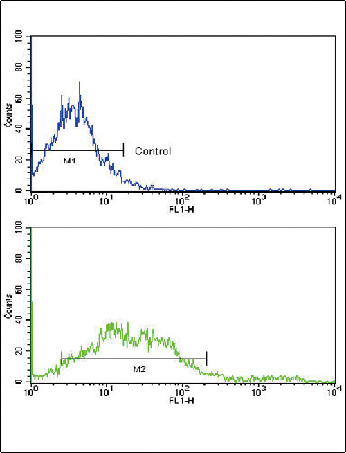 EphA2 Antibody in Flow Cytometry (Flow)