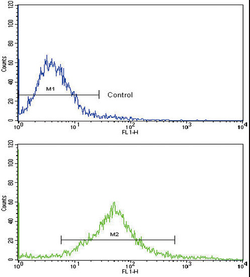 c-Kit Antibody in Flow Cytometry (Flow)