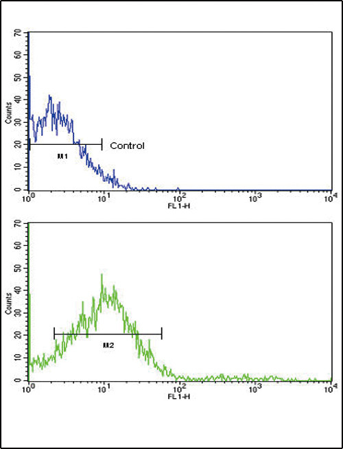 ROR2 Antibody in Flow Cytometry (Flow)