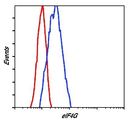 eIF4G Antibody in Flow Cytometry (Flow)