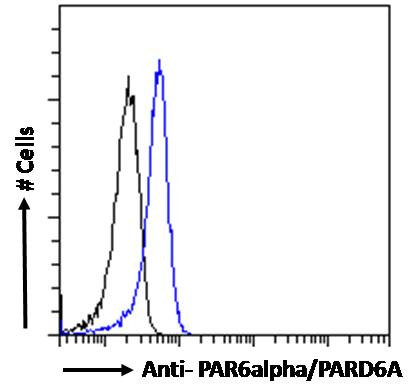 PAR6 Antibody in Flow Cytometry (Flow)