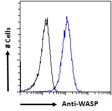 WASP Antibody in Flow Cytometry (Flow)