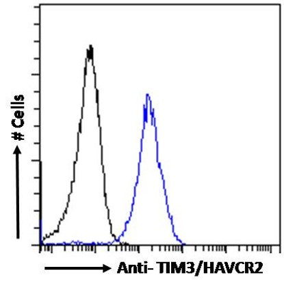 TIM3 Antibody in Flow Cytometry (Flow)