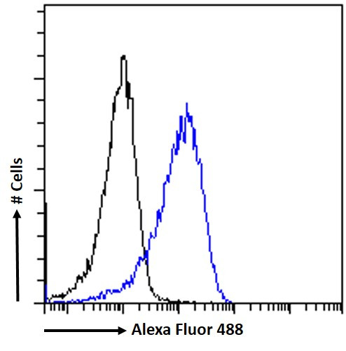 ZNF9 Antibody in Flow Cytometry (Flow)