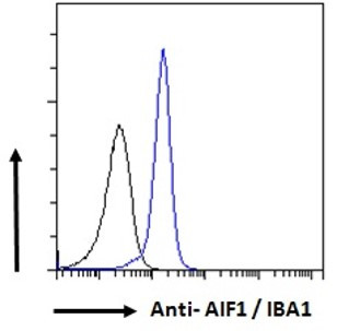 IBA1 Antibody in Flow Cytometry (Flow)