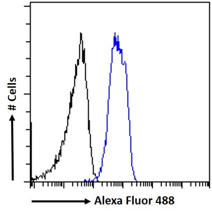 Chromogranin A Precursor Antibody in Flow Cytometry (Flow)