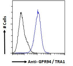 GRP94 Antibody in Flow Cytometry (Flow)