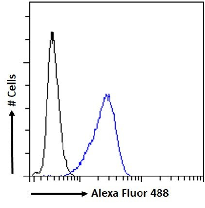 FXR Antibody in Flow Cytometry (Flow)