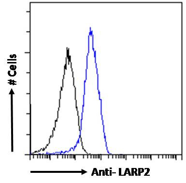 LARP2 Antibody in Flow Cytometry (Flow)